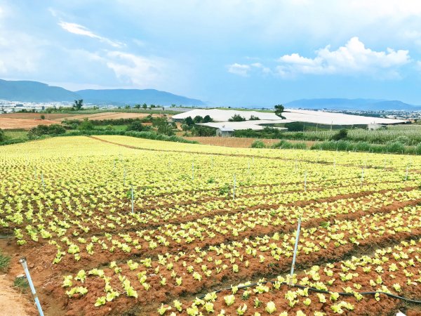 Cần bán gấp Lô Đất Dốc Tình Sao Mai - Ka Đơn View Đẹp Thoáng Mát,Nhìn Toàn Cảnh Giá Chỉ 500 triệu