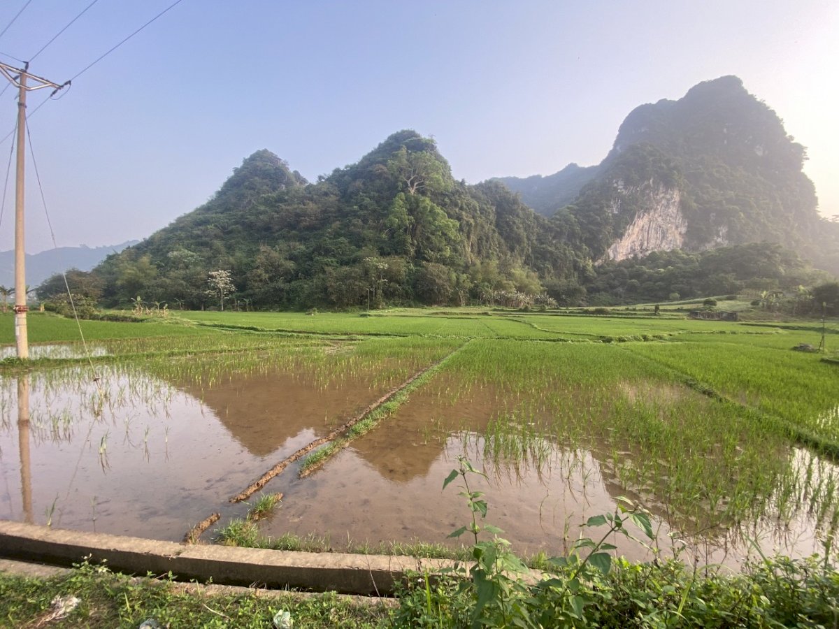 Bán gấp lô đất có view ruộng núi siêu đẹp ở Bình Sơn, Kim Bôi
