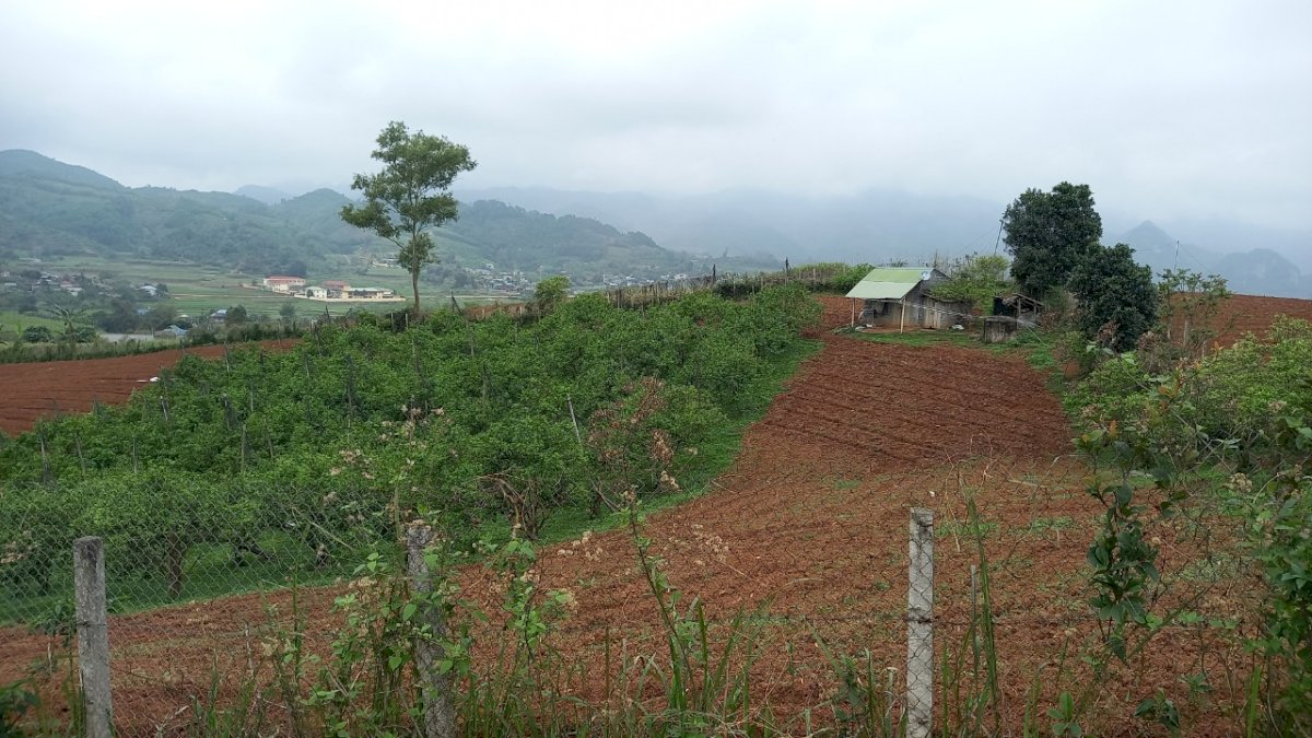 Bán gấp 9000m2 đất tại Dũng Phong, Cao Phong