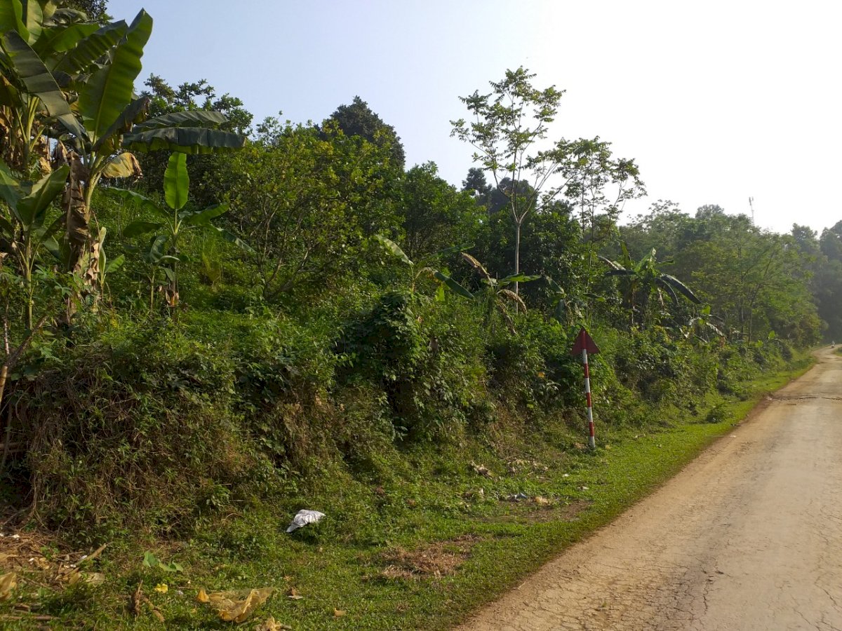 Bán nhanh lô đất view siêu đẹp ở Hợp Tiến, Kim Bôi