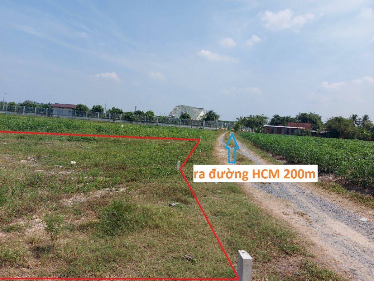 Đất đường Hồ Chí Minh, Khu phố Lộc Khê, Phường Gia Lộc, Thị xã Trảng Bàng, Tây Ninh.