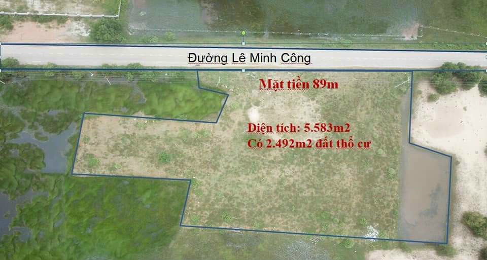 HOT: Chính chủ cần bán gấp lô đất đường Lê Minh Công, xã Tân Phước, Tx. Lagi - tuyến đường ven biển 