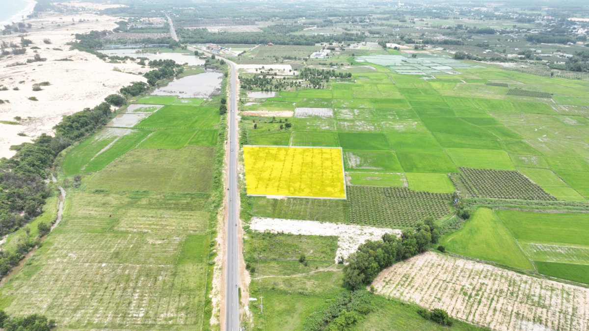 Chính chủ cần bán lô đất mặt tiền đường Hùng Vương, Tx. Lagi - tuyến đường ven biển đẹp nhất Việt Nam