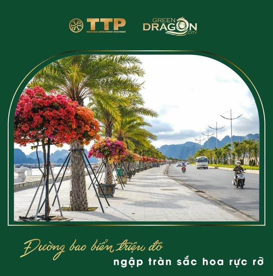 CC bán dinh thự bao biển Cẩm Phả giá siêu tốt. Dinh thự thuộc dự án Dragon TTP Bến Do Cẩm Phả, QN.