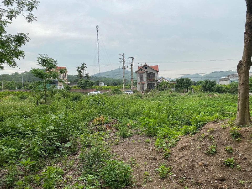 Chính chủ bán lô đất 229m2 tại Bình Khê, Đông Triều, Quảng Ninh giá chỉ 1,x tỷ. Liên hệ xem sổ: 0888 766 676