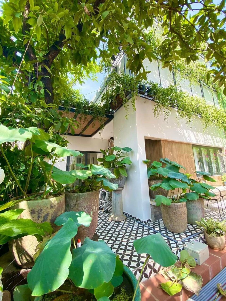 Bán căn nhà sân vườn 230 m² - Đường 138,  P. Tân Phú, Quận 9. Ngay KDL Suối Tiên