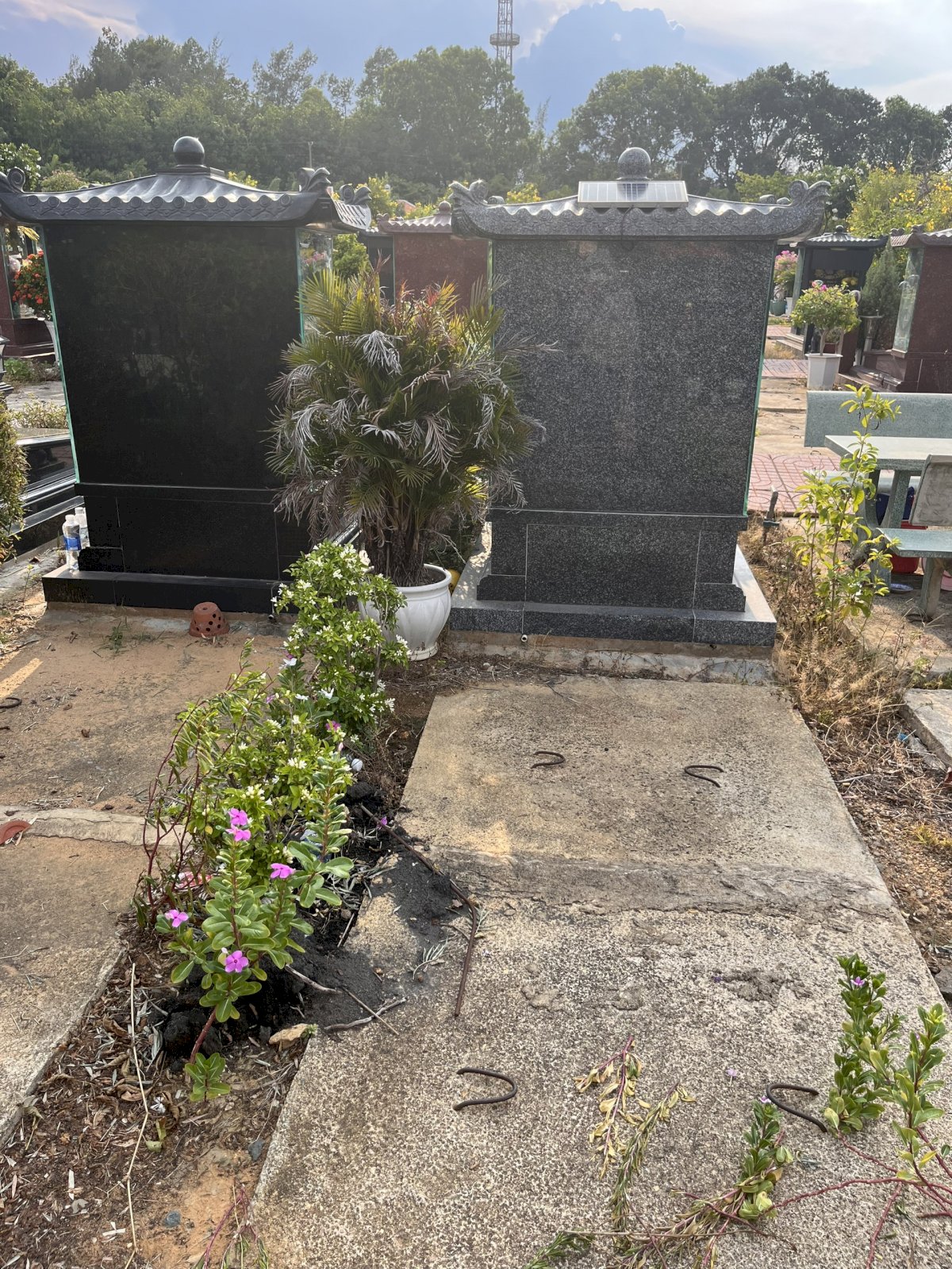 Bán 1 nền Mộ đơn, Khu Phú Quý, trong Dự án nghĩa trang Phúc An Viên, quận 9