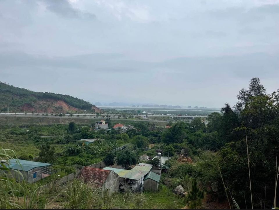 Bán 13,5Ha đất Rừng tại Cầu Trắng, Đại Yên. View toàn cảnh Siêu dự án Vinhomes Hạ Long Xanh