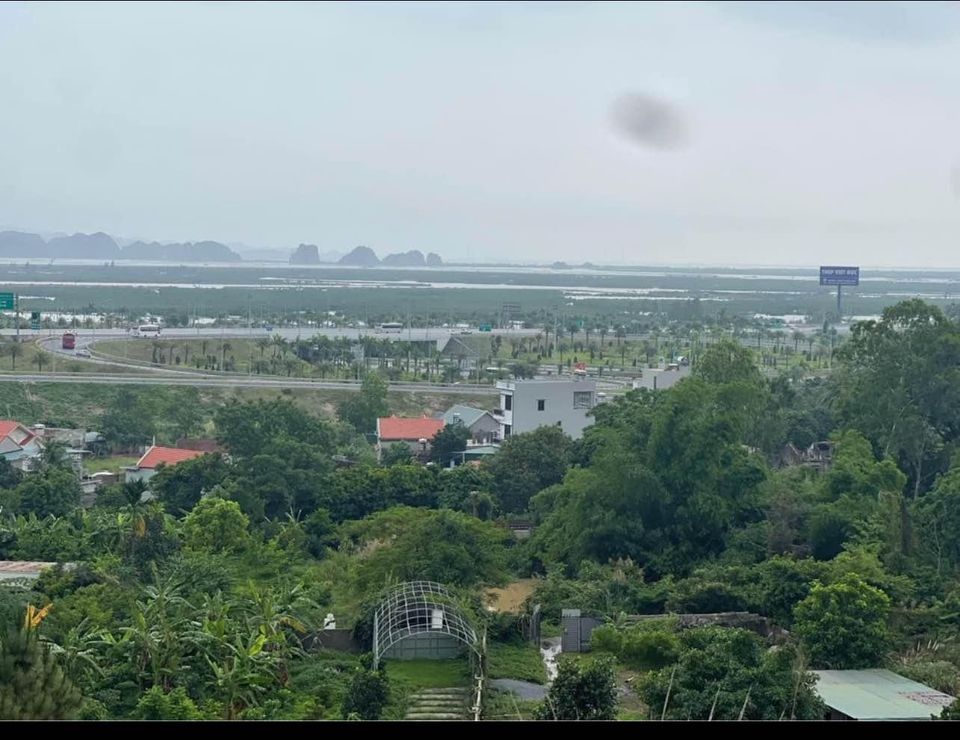 Bán 13,5Ha đất Rừng tại Cầu Trắng, Đại Yên. View toàn cảnh Siêu dự án Vinhomes Hạ Long Xanh