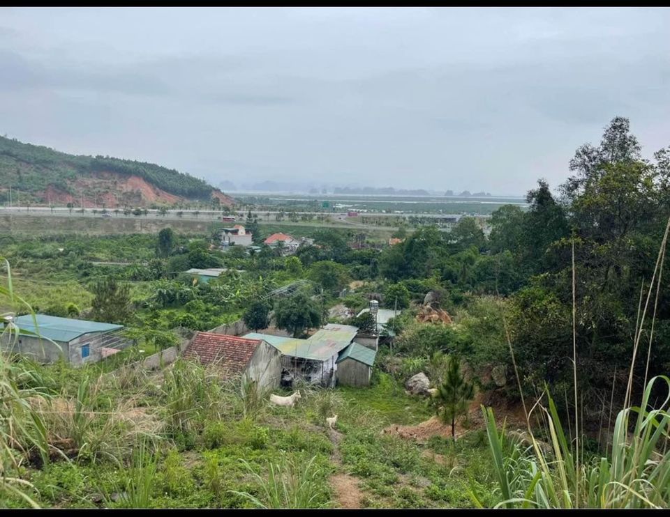 Bán Lô đất Trang Trại 1925m2 tại Tổ 2, Khu Cầu Trắng, Đại Yên, Tp. Hạ Long.