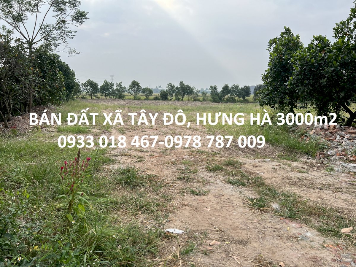 Bán đất xã tây đô, hưng hà, thái bình trục huyện 3000m2-2tr/m2-0933018467-0978787009