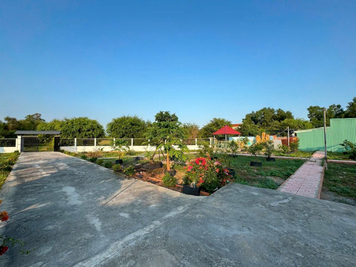 Nhà vườn tổng dt 1400m2 đất lúa xã Phước Lâm, huyện Cần Giuộc 2pn 1wc giá 5,5 tỷ