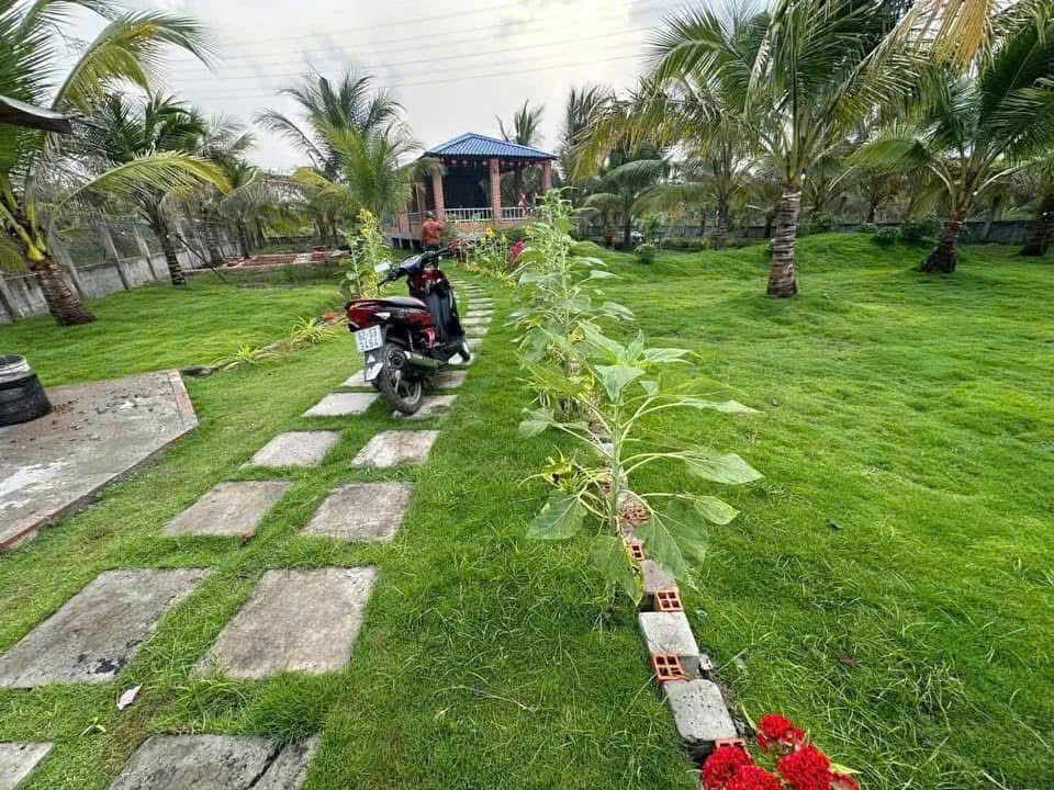 Nhà vườn đẹp xã Bình Đức, huyện Bến Lức dt tổng 1500m2 giá 2,5 tỷ