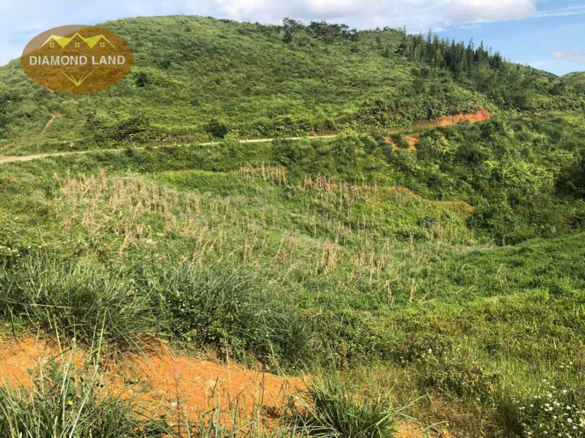 GIÁ LONG LANH… BÁN NHANH 76.000m2 đất homestay Noong Luông, Mai Châu, Hòa Bình