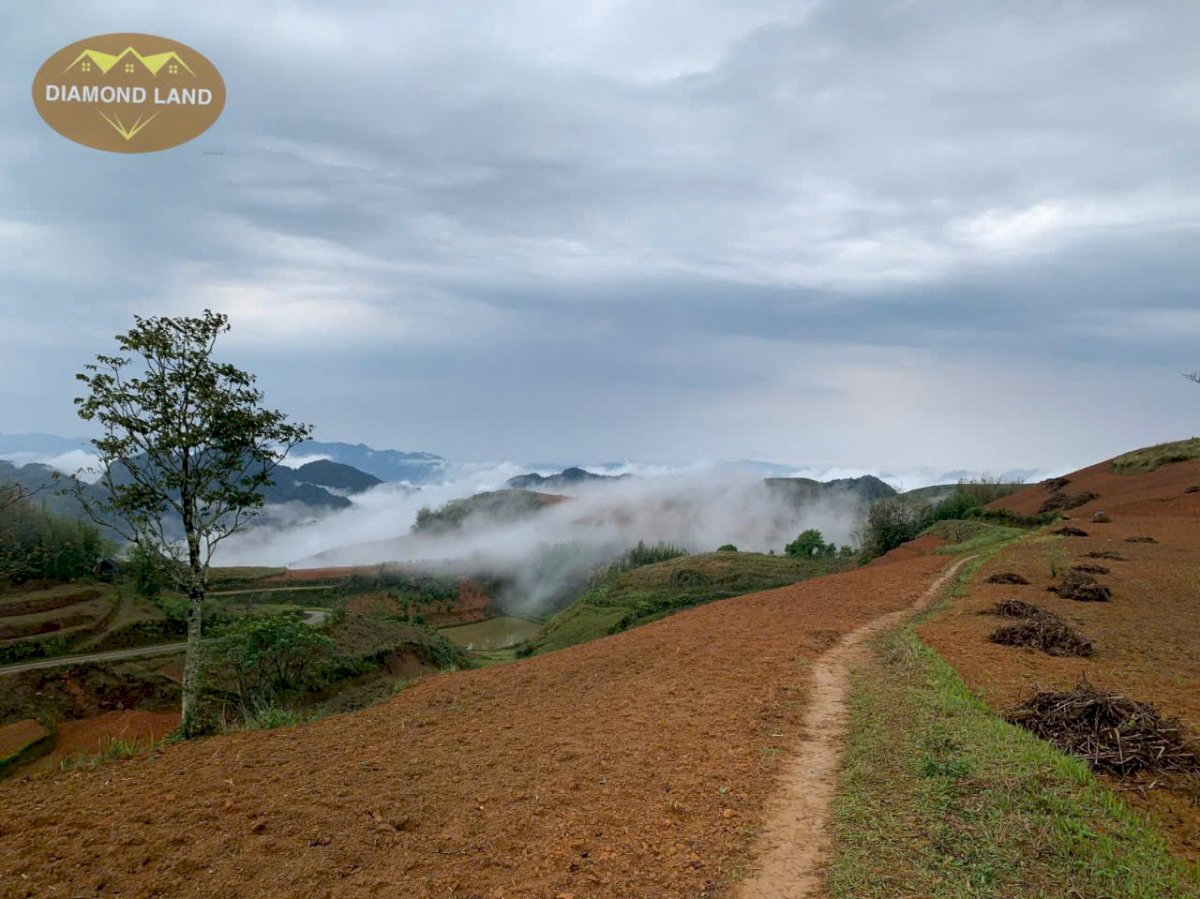 GIÁ LONG LANH… BÁN NHANH 76.000m2 đất homestay Noong Luông, Mai Châu, Hòa Bình