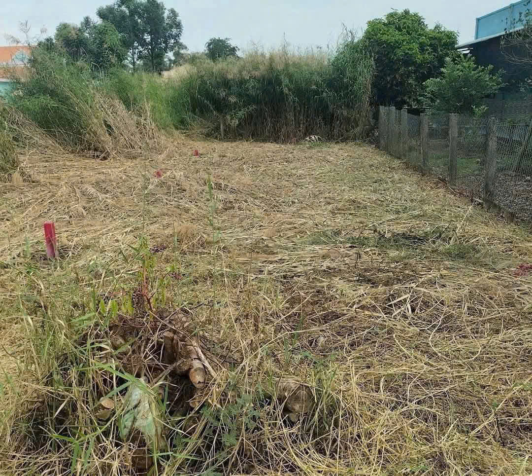 160m2 thổ cư mặt tiền Nguyễn Quang Đại, xã Mỹ Lệ giá 1,19 tỷ