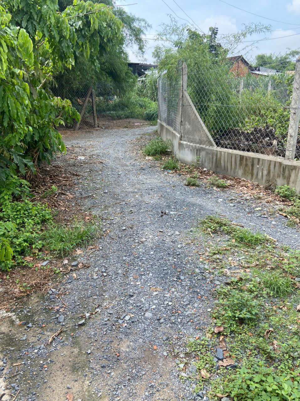 1440m2 đất vườn ( có 100m2 thổ + nhà cấp 4 2pn 1wc) xã Trung An. Củ Chi giá 3,9 tỷ