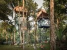 Trải nghiệm khách sạn trên cây giữa rừng nhiệt đới