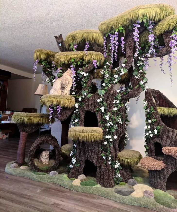 ngôi nhà hình cây dành cho mèo