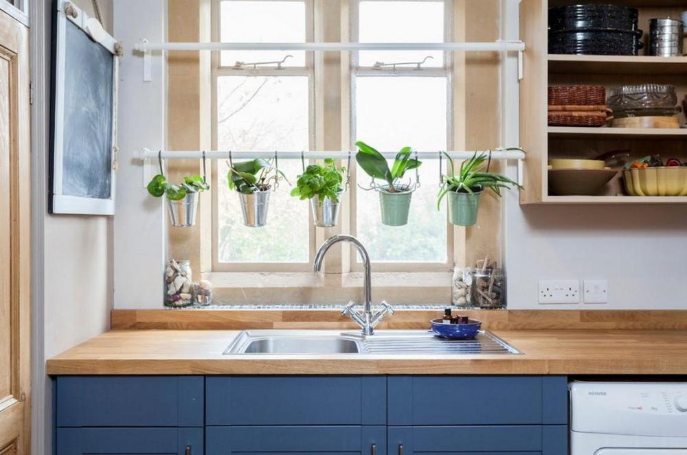 Cây xanh giúp không gian bếp tươi mát hơn