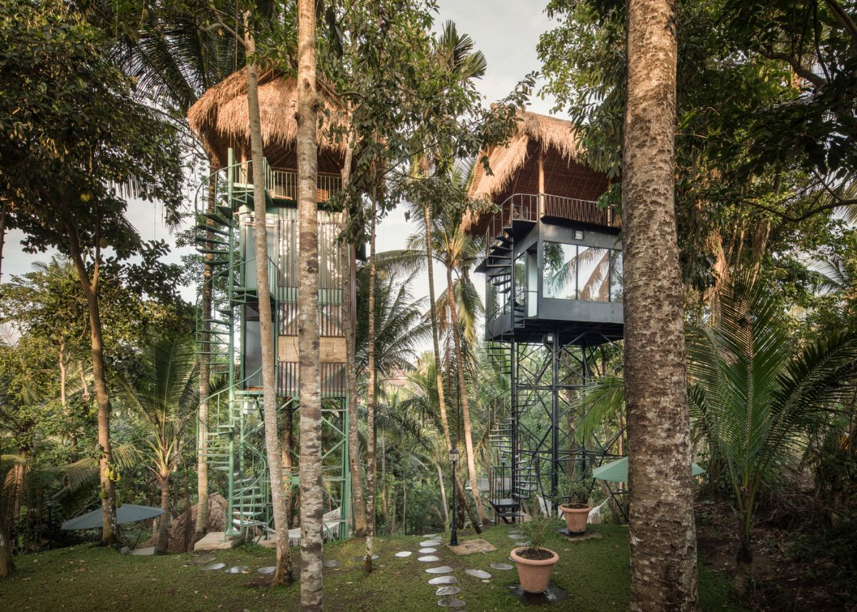 khách sạn trên cây giữa rừng nhiệt đới