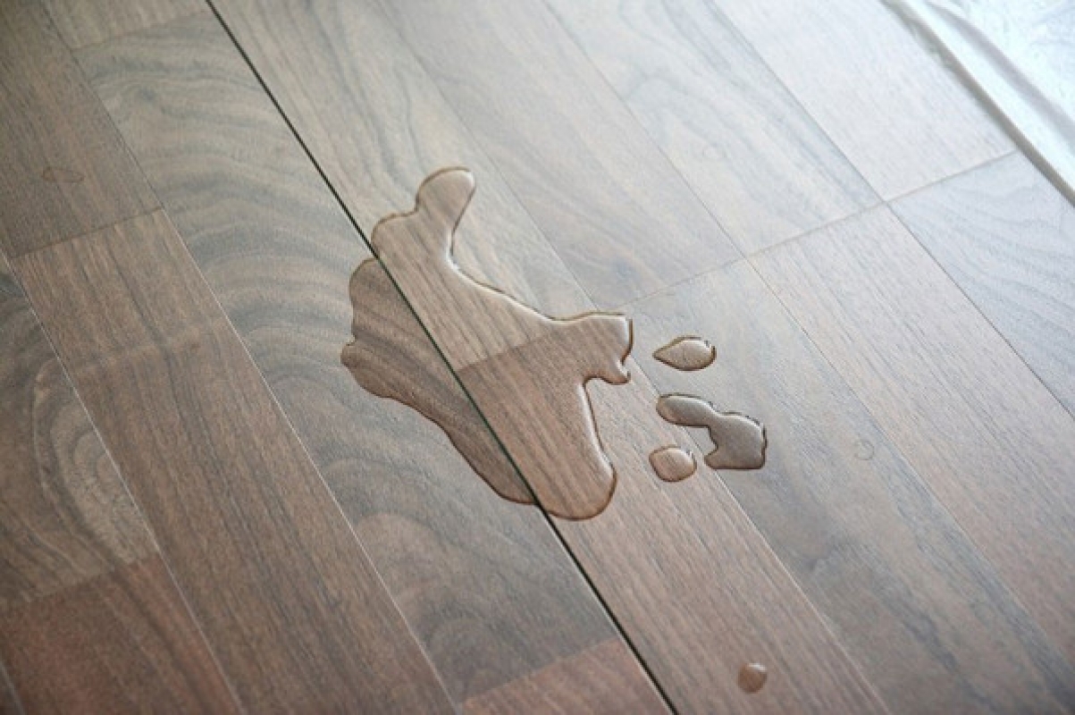 Làm đổ nước lên sàn gỗ