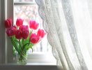 Những mẹo đơn giản mang lại ánh sáng tự nhiên cho ngôi nhà