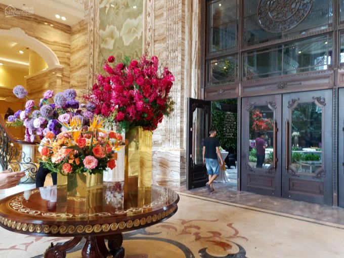Tặng quà và bán căn góc cung điện D'.Palais Louis Tân Hoàng Minh giá chỉ từ 70 tr/m2 CĐT 0936046926