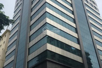 BQL tòa nhà HL Building - Cho thuê văn phòng diện tích 100m2, 200m2,.. 600m2, giá chỉ 256.00vnđ/m2