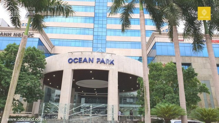 BQL tòa nhà Ocean Park cho thuê văn phòng diện tích 100m2, 200m2, 300m2... 1000m2, giá đẹp