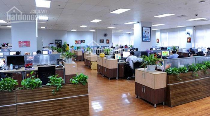 Cần cho thuê văn phòng tại mặt phố Trần Duy Hưng diện tích 75m2,130m2,150m2 giá rẻ