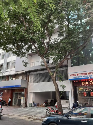Cho thuê tòa nhà Nam Kỳ Khởi Nghĩa P. Nguyễn Thái Bình Quận 1, DT: 9x25, hầm 6 tầng TM giá 20k