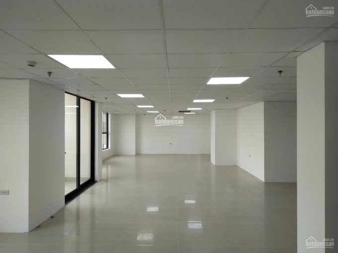 Cho thuê văn phòng chuyên nghiệp tại Roman Plaza giá chỉ từ 160k/m2/th