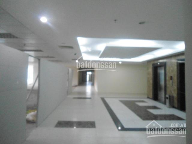 Cho thuê văn phòng quận Hoàn Kiếm phố Phan Chu Trinh, 80m2, 150m2, 280m2, 500m2, giá 170nghìn/m2/th