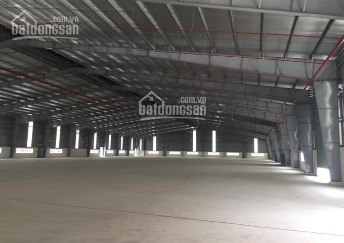 Cho thuê nhà xưởng từ 500m2 cho đến 10.000 m2 trong KCN Thái Hòa, Long An