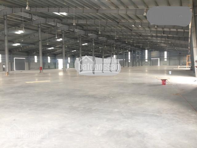 Cho thuê kho xưởng DT 2400m2, 5000m2, 9000m2 Từ Sơn, Bắc Ninh, LH: 0979 929 686