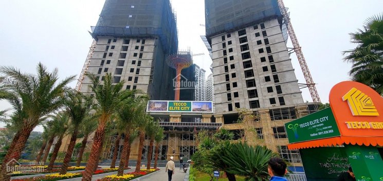 Tecco Elite City - chiết khấu đến 9%, bảng hàng 100 căn giá tốt