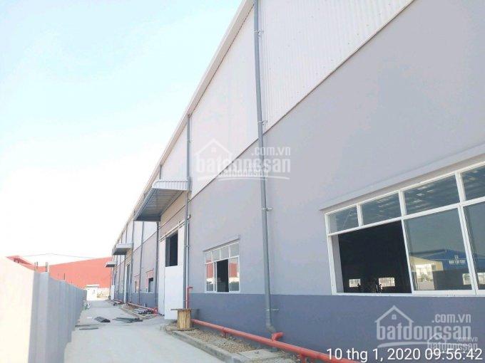 Cho thuê xưởng mới xây tổng diện tích 5.000m2 và 10.000 m2 trong KCN Hải Sơn, Đức Hòa, Long An