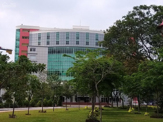 Cho thuê mặt bằng tòa nhà cổng phần mềm Quang Trung