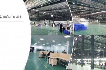Cho thuê nhà xưởng tại khu B cụm công nghiệp Đồng Lạng - Phú Thọ giá từ 48000 đến 68.000 vnđ/m2