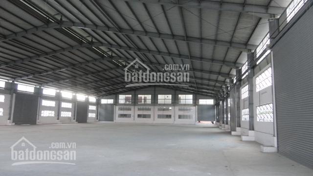 Cho thuê kho bãi nhà xưởng giá rẻ KCN Bình Xuyên, diện tích 1000m2, 4040m2, 5600m2