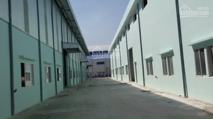 Cho thuê kho xưởng từ 1000 đến 10.000 m2 đường Hoà Bình, PCCC, cont vô, riêng biệt, HĐ 5 năm