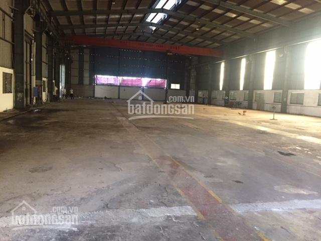 Cho thuê kho xưởng DT 1200m2, 3000m2 Phan Trọng Tuệ, Thanh Trì, Hà Nội. LH 0979 929 686