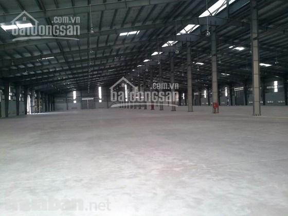 Cho thuê kho xưởng DT 2400m2, 5000m2, 9000m2 Từ Sơn, Bắc Ninh, LH: 0979 929 686