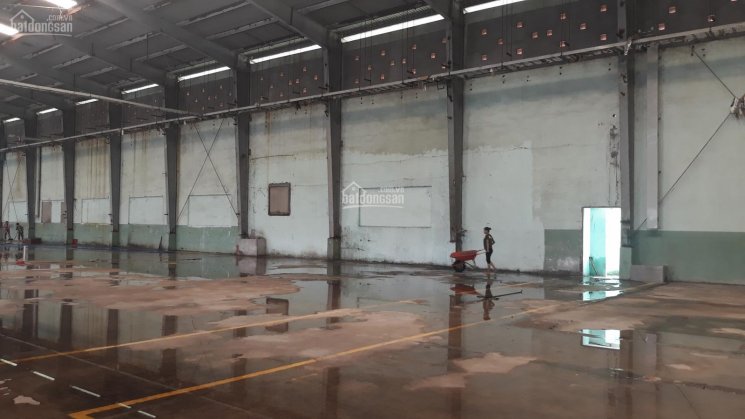 Cần cho thuê kho, nhà xưởng 6000m2 trong khuôn viên 60000m2 tại KCN Hiệp Phước, Nhà Bè, TPHCM