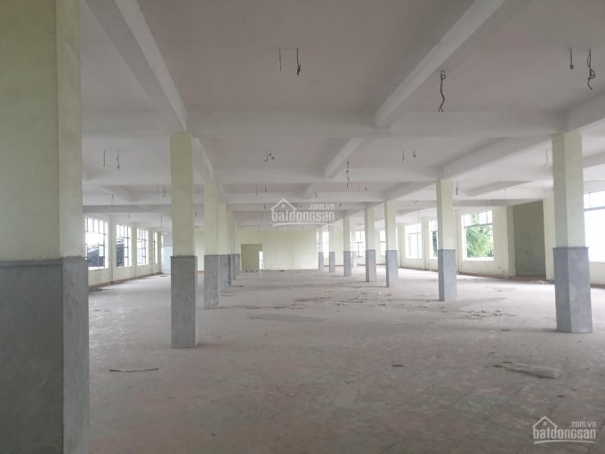 Thủy Nguyên nhà xưởng 2 tầng 1600m2 phù hợp phòng sạch điện tử, may mặc