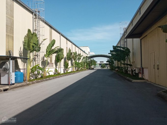 Cho thuê kho, xưởng mới 100% khu CN Văn Giang, Hưng Yên DT 200m2 đến 100.000m2