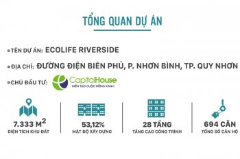 Bán căn hộ chung cư Ecolife Riverside Quy Nhơn - giá chủ đầu tư