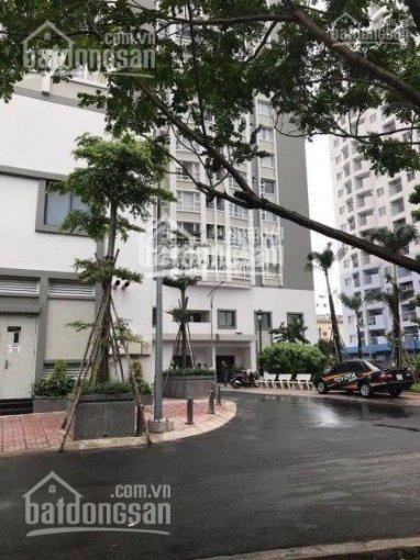 Kẹt tiền chính chủ cần bán nhanh căn hộ 243 Tân Hòa Đông 56m2/2PN/1.5 tỷ