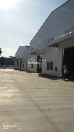 Cho thuê kho xưởng từ 1000 đến 10.000 m2 đường Hoà Bình, PCCC, cont vô, riêng biệt, HĐ 5 năm